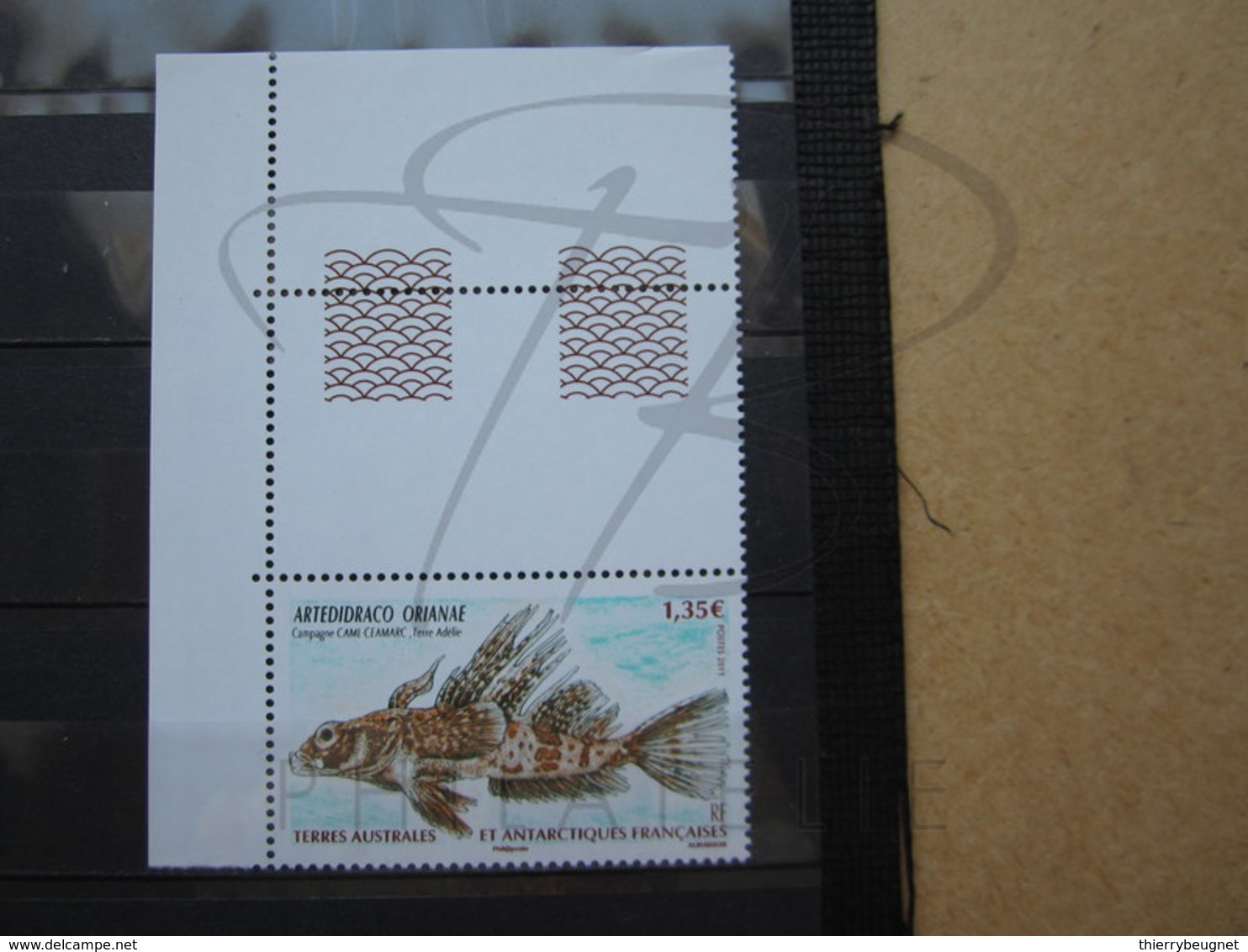 VEND BEAU TIMBRE DES T.A.A.F. N° 583 + BDF , XX !!! - Unused Stamps