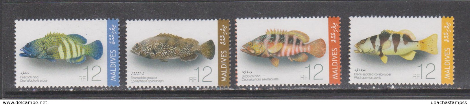 Maldives 2009 Fish Marine Life Set  MNH - Fishes