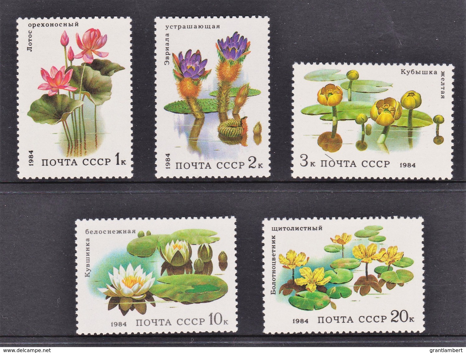 Russia 1984 Aquatic Plants - Flowers Set Of 5 MNH - Nuevos