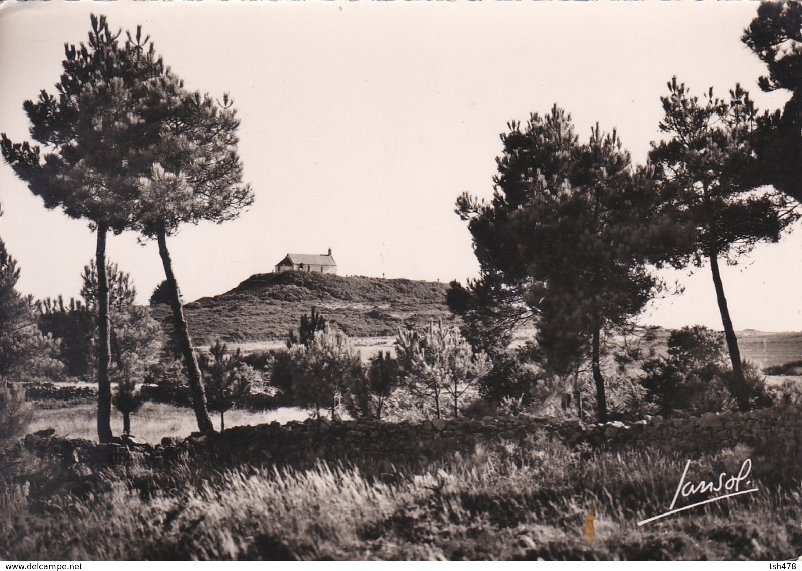 56----CARNAC---le Tumulus Saint-michel--voir 2 Scans - Carnac