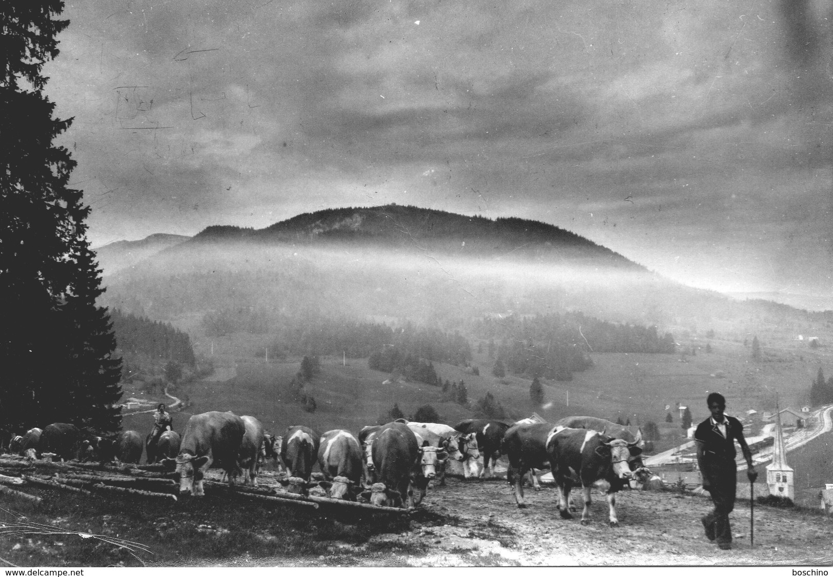 Paysage Du Haut-Doubs (photo Stainagre) - Autres & Non Classés