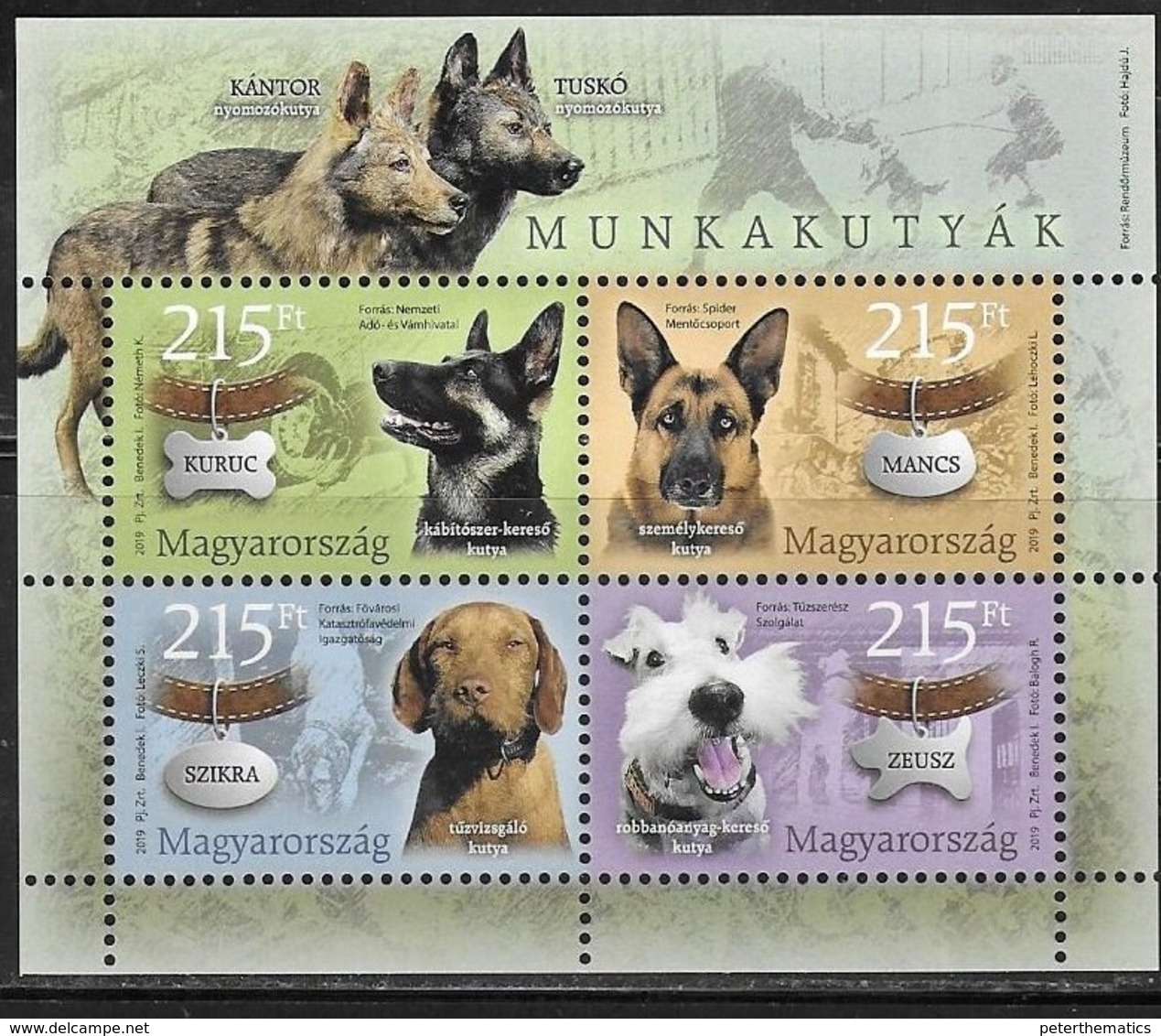 HUNGARY, 2019, MNH, WORKING DOGS, DOGS, SHEETLET OF 4v - Dogs