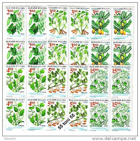 1995 Legumes Traditional Agricultura  6 V.-MNH Block Of Four BULGARIA / Bulgarie - Groenten