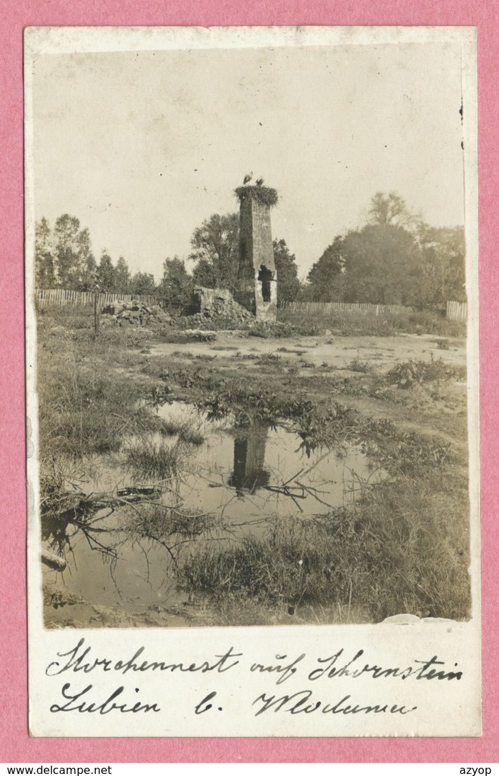 Polska - Polen - Pologne - LUBIEN - Carte Photo - Foto - Storchennest - Guerre 14/18 - Polen