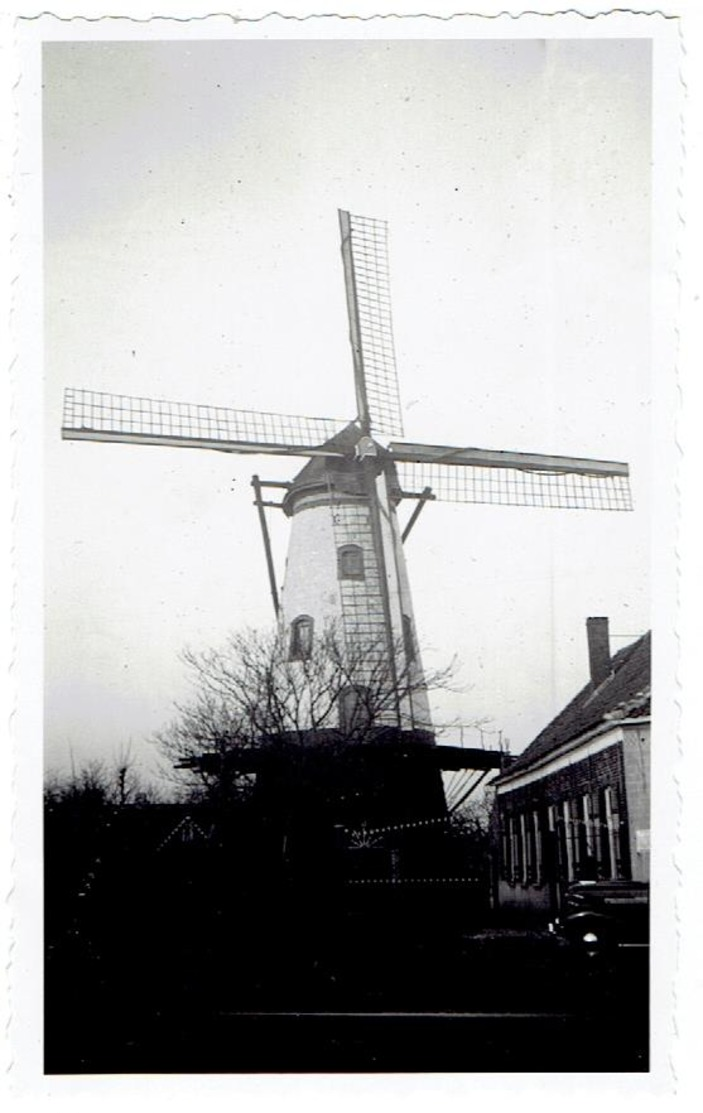 RUISELEDE - Knokmolen - Knokstraat - Kleine Foto 11 X 6,6 Cm - Ruiselede