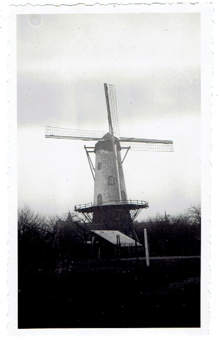 RUISELEDE - Hostens Molen Ook Vincents Molen Genoemd - Kleine Foto 11 X 6,6 Cm - Ruiselede