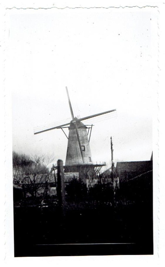 RUISELEDE - Goudenster Molen Of Molen Goethals - Kleine Foto 11 X 6,6 Cm - Ruiselede