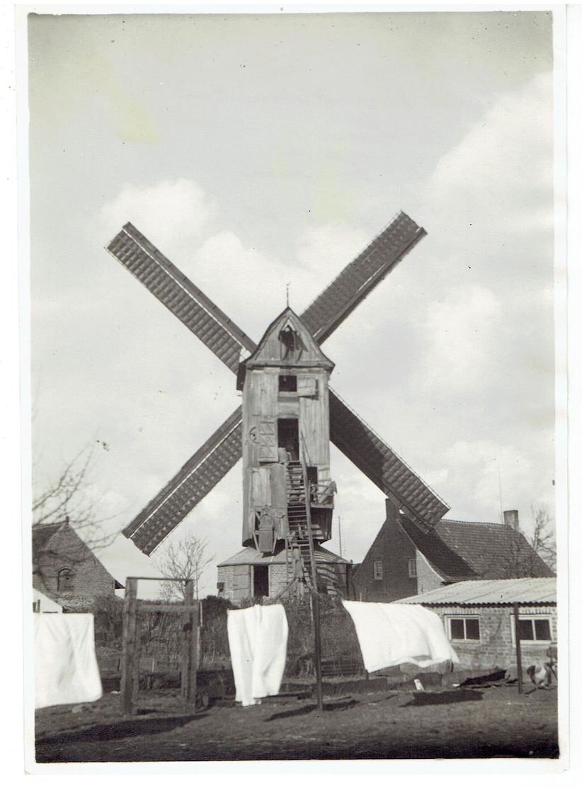 LOO - Lo-Reninge - Foto 17 X 12 Cm - Koren Torenkotmolen - Windmolen - Lo-Reninge