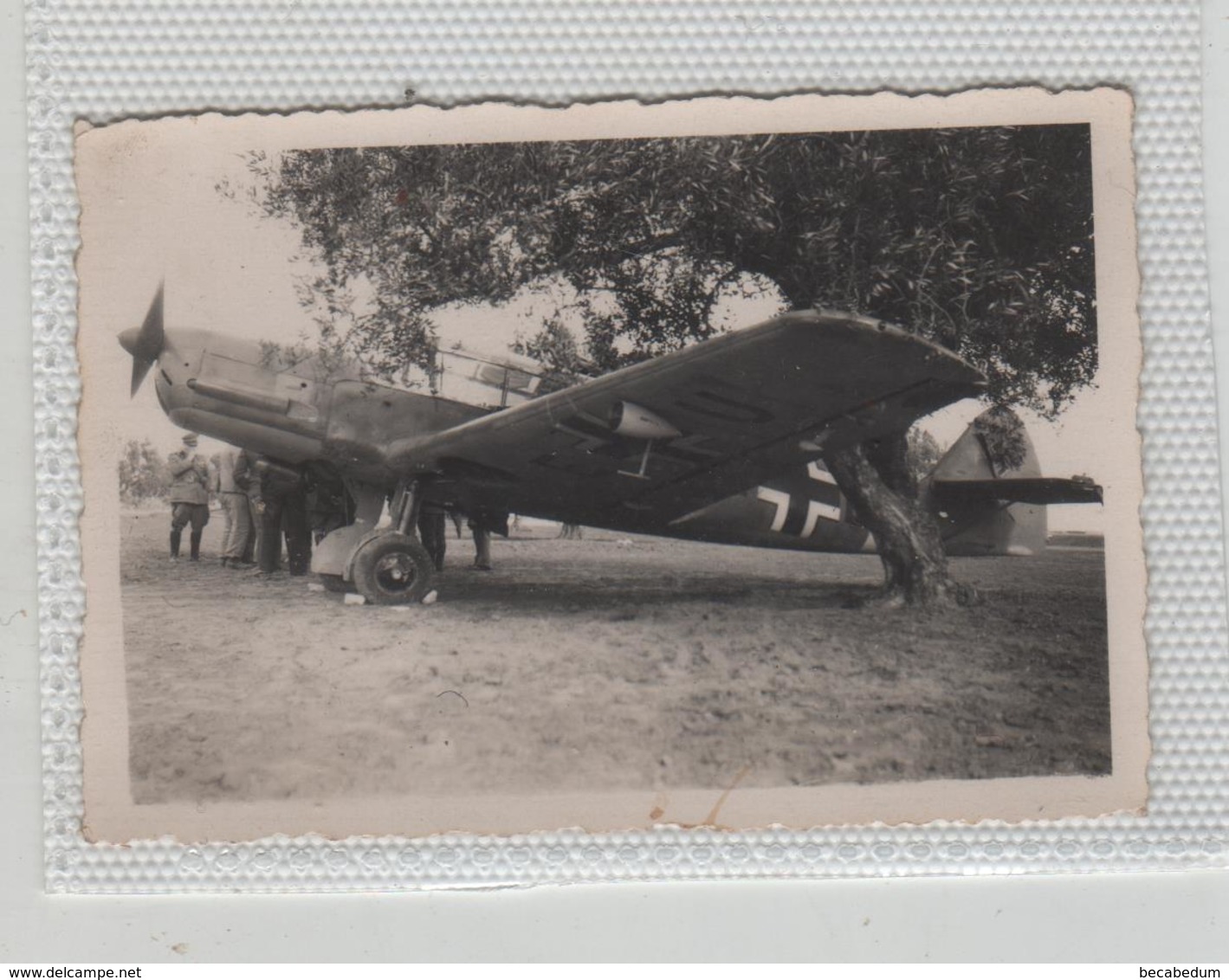 Photo Originale Avion  Tunisie Années 1941 1942 à Identifier - Aviation