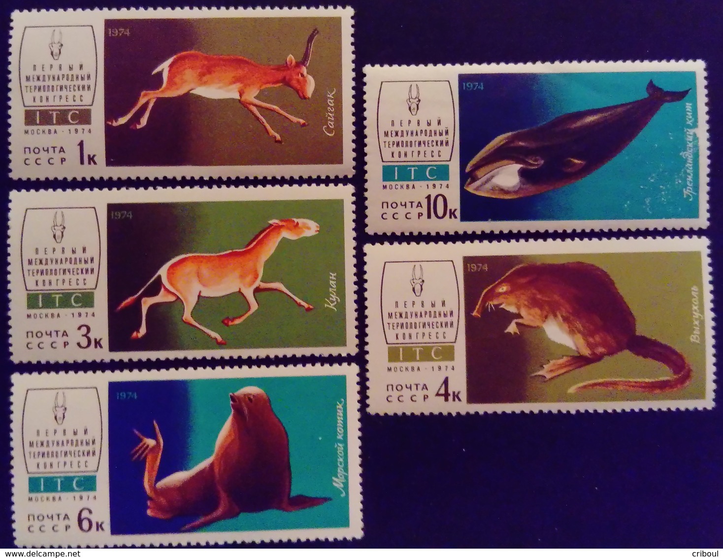 Russie Russia URSS USSR 1974 Animal Antilope Ane Rat Otarie Baleine Yvert 4038-4042 ** MNH - Ungebraucht