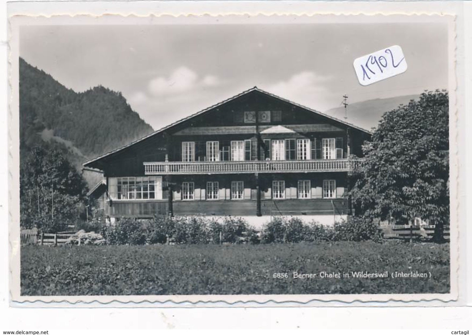 Lot -L343-SUISSE-Belle sélection 40 CP (ttes catégories) Canton  de BERNE  -( scans et description)