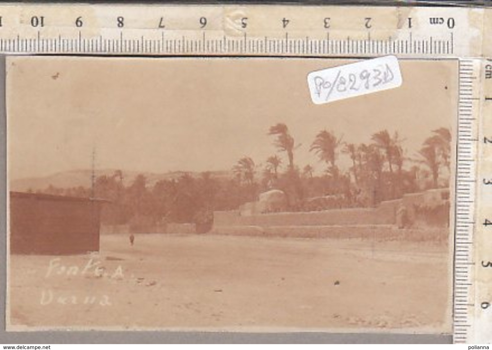 PO8285D# FOTOGRAFICA LIBIA - DERNA - FONTE A. 1911  No VG - Libia