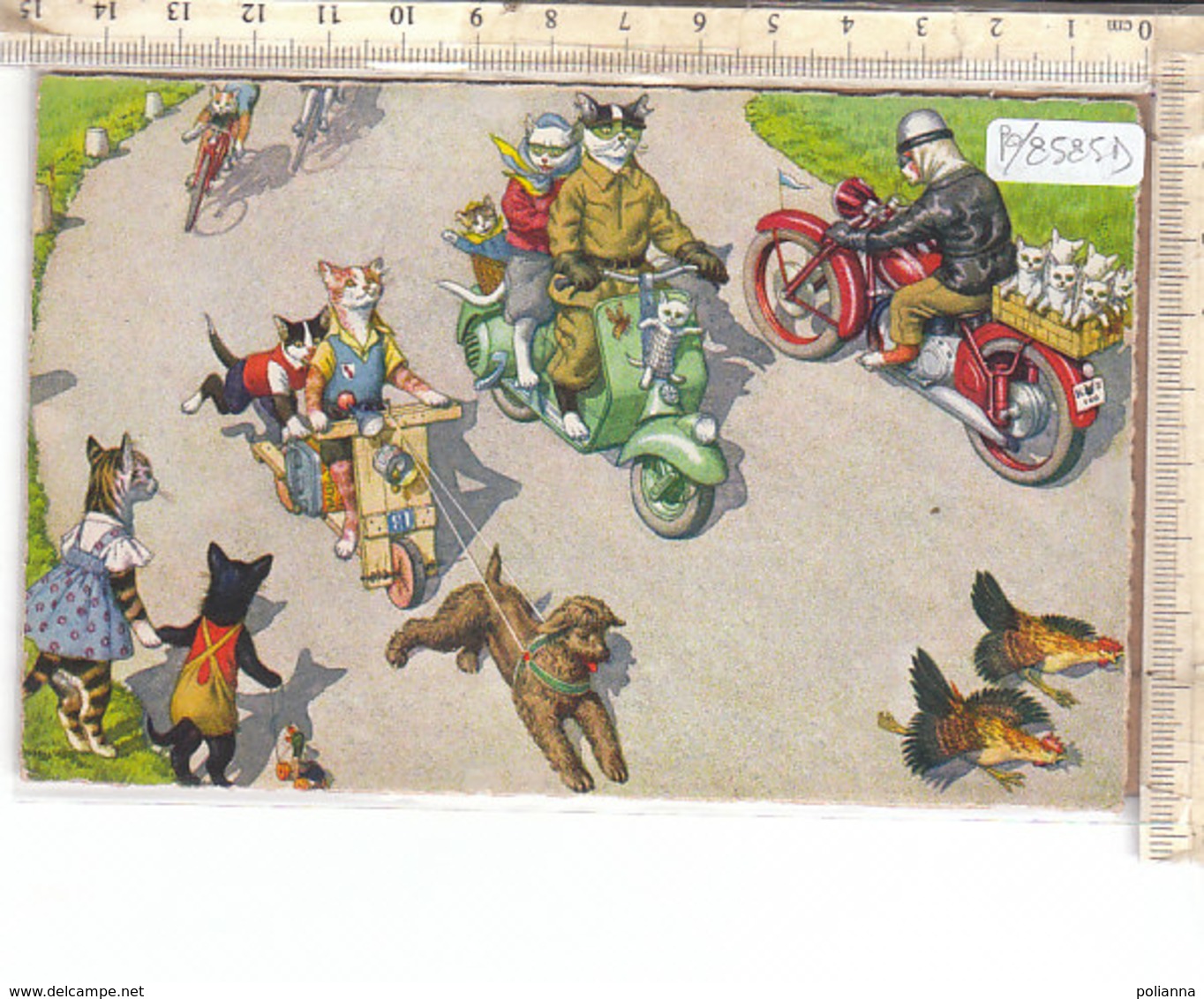 PO8585D# ILLUSTRATORI MAX KUNZLI - GATTI UMANIZZATI - DRESSED CATS - MOTO VESPA  VG 1962 - Humor