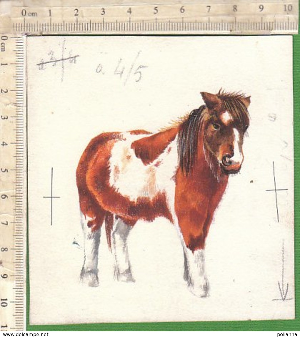 PO8919D# FIGURINA DIPINTA A MANO HAND PAINTED - ANIMALI - CAVALLI - PONY - Animali