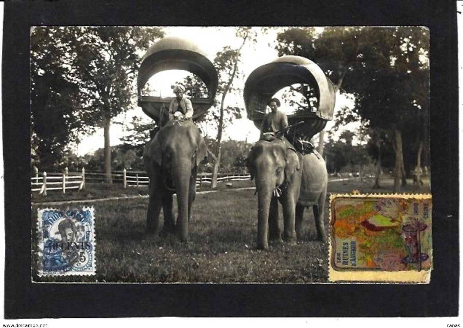 CPA éléphant Asie Carte Photro Circulé - Elefanten