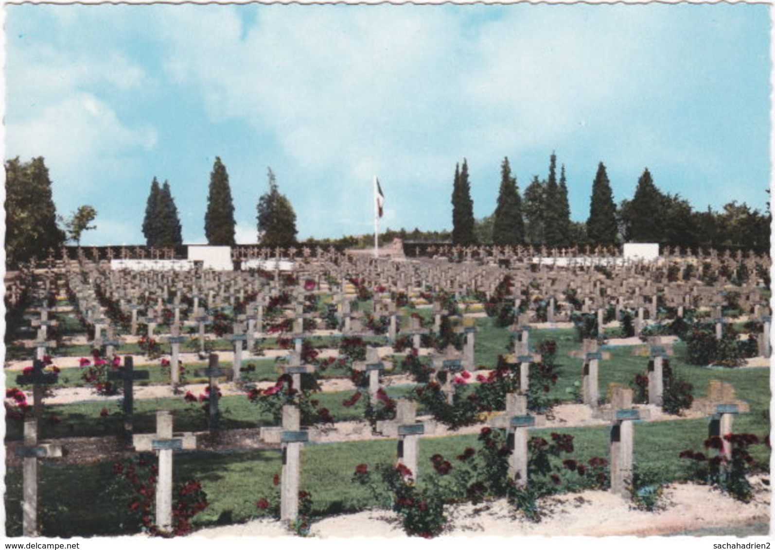 54. Gf. BADONVILLER. Cimetière Militaire. 5 - Autres & Non Classés