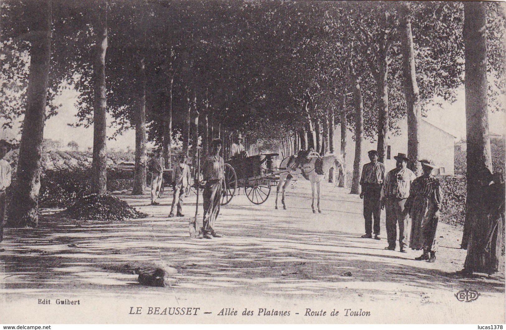 83 / LE BEAUSSET / ALLEE DES PLATANES / ROUTE DE TOULON / CANTONNIERS / ATTELAGE / - Le Beausset