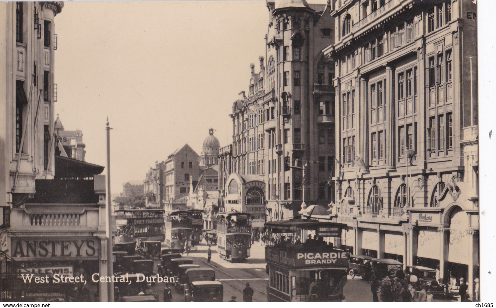 AFRIQUE DU SUD  :  DURBAN  :   Carte Photo West Street Central - Afrique Du Sud