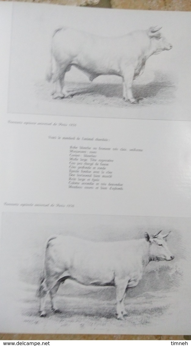 TOME N°4. LES RICHES HEURES DU NIVERNAIS - FIN XVIIIe; XIXe Siècle - Les Annales Des Pays Nivernais 1979 - CAMOSINE N°23 - Bourgogne