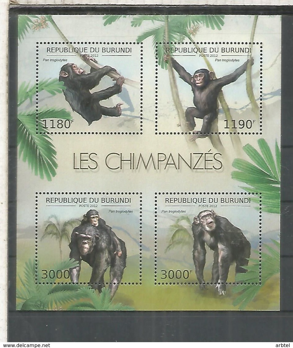 BURUNDI CHIMPANCE SHIMPANZEE FAUNA - Chimpancés