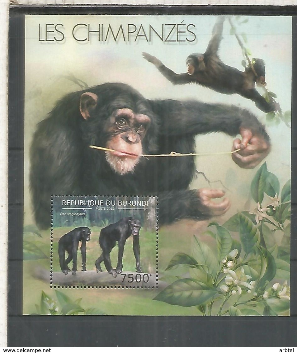 BURUNDI CHIMPANCE SHIMPANZEE FAUNA - Chimpancés