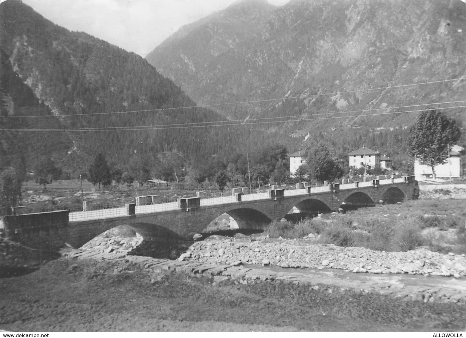 4846 " CARISOLO (PINZOLO) (mt. 808 S.l.m.)-PONTE S. NICOLO' " - CART. POSTALE ORIGINALE SPED.1953 - Other & Unclassified