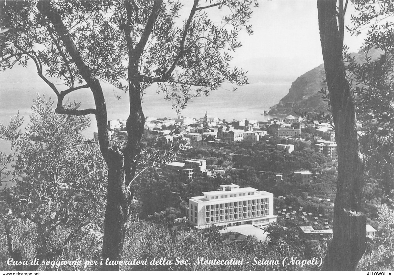 4855 " CASA DI SOGGIORNO PERI LAVORATORI DELLA SOC.MONTECATINI-SEIANO(NAPOLI) "-CART. POST. ORIG. NON SPED. - Other & Unclassified