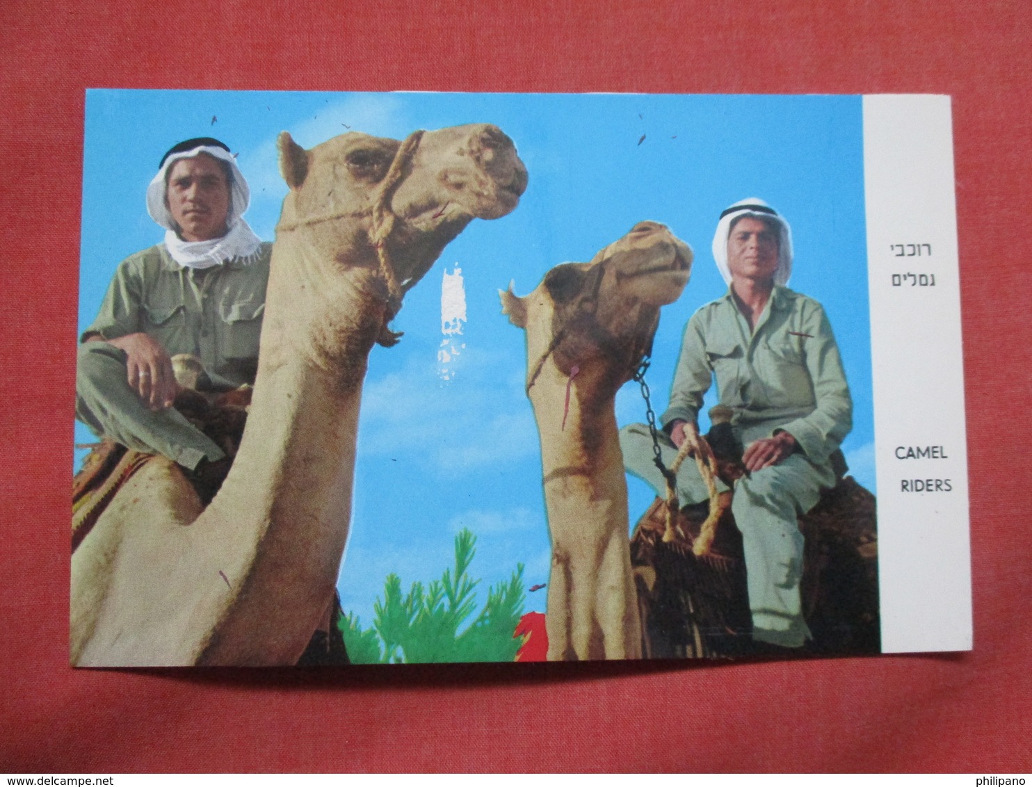 Camel Riders  As Is Paper Rub Center   Israel   Ref 3504 - Israel