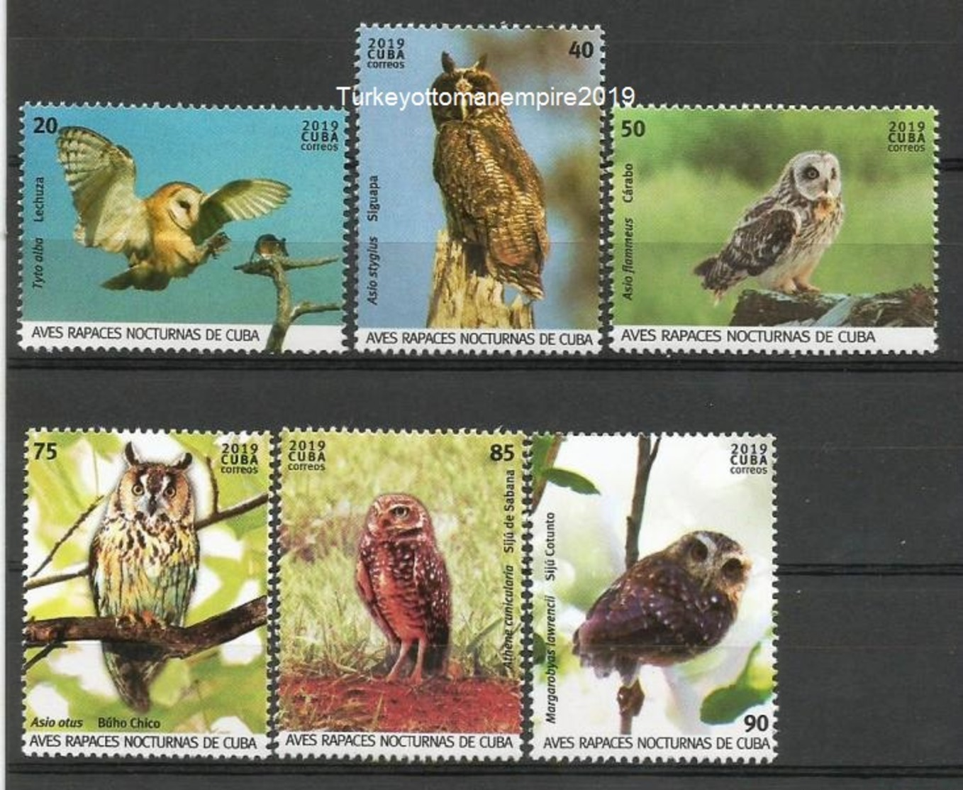 Cuba 2019 Night Birds Of Preys.Owls 6v + S/S MNH - Águilas & Aves De Presa