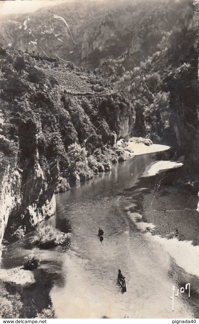 Cp , 48 , LES GORGES DU TARN , Environs De LA MALÈNE, Les Détroits - Gorges Du Tarn