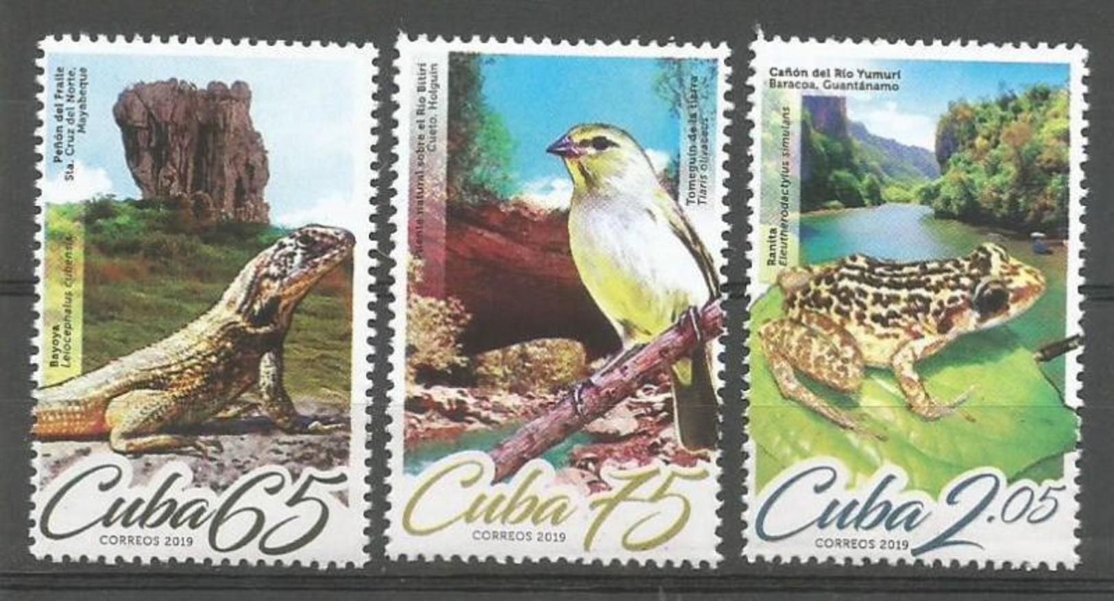 Cuba 2019 Nature And Geography. Birds, Lizard And Frog 3v MNH - Geography