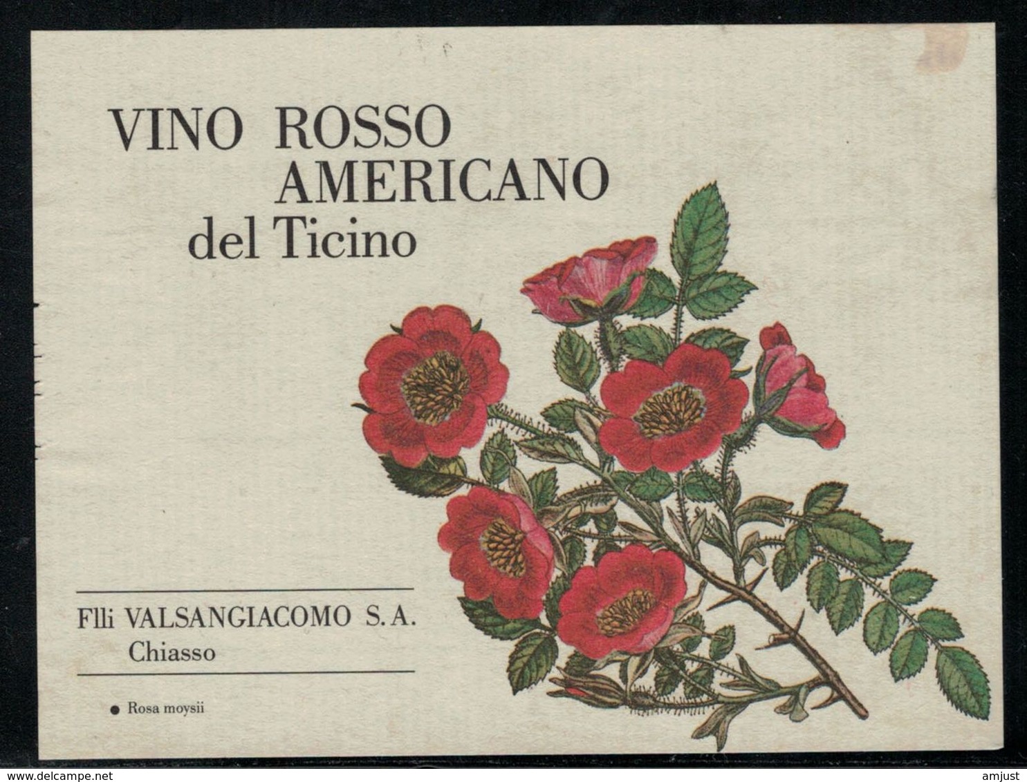 Etiquette De Vin // Vino Rosso Americano Del Ticino, Chiasso, Suisse - Blumen