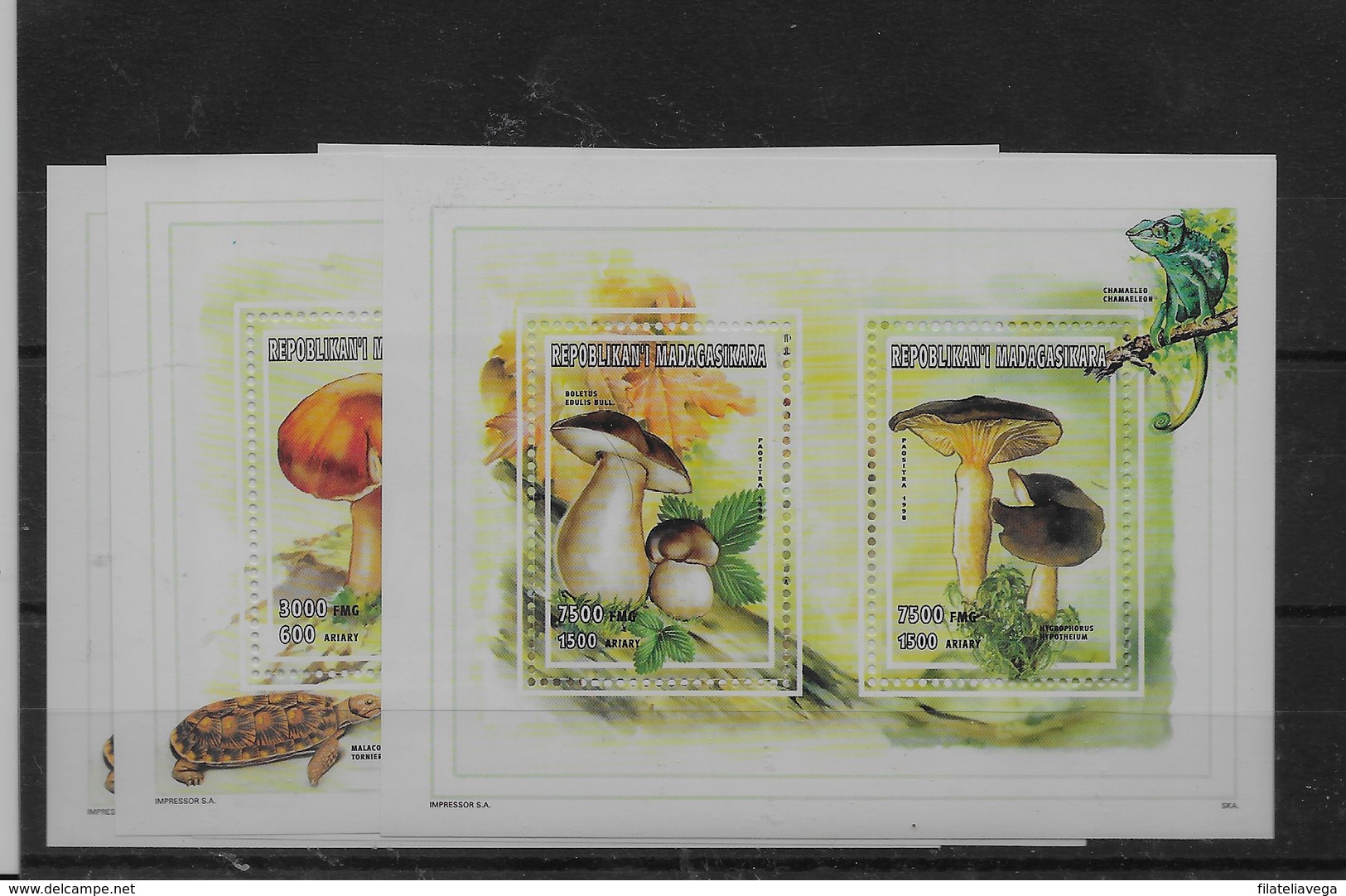 Serie De Madagascar Nº Yvert 1578/81 ** SETAS (MUSHROOMS) - Madagascar (1960-...)