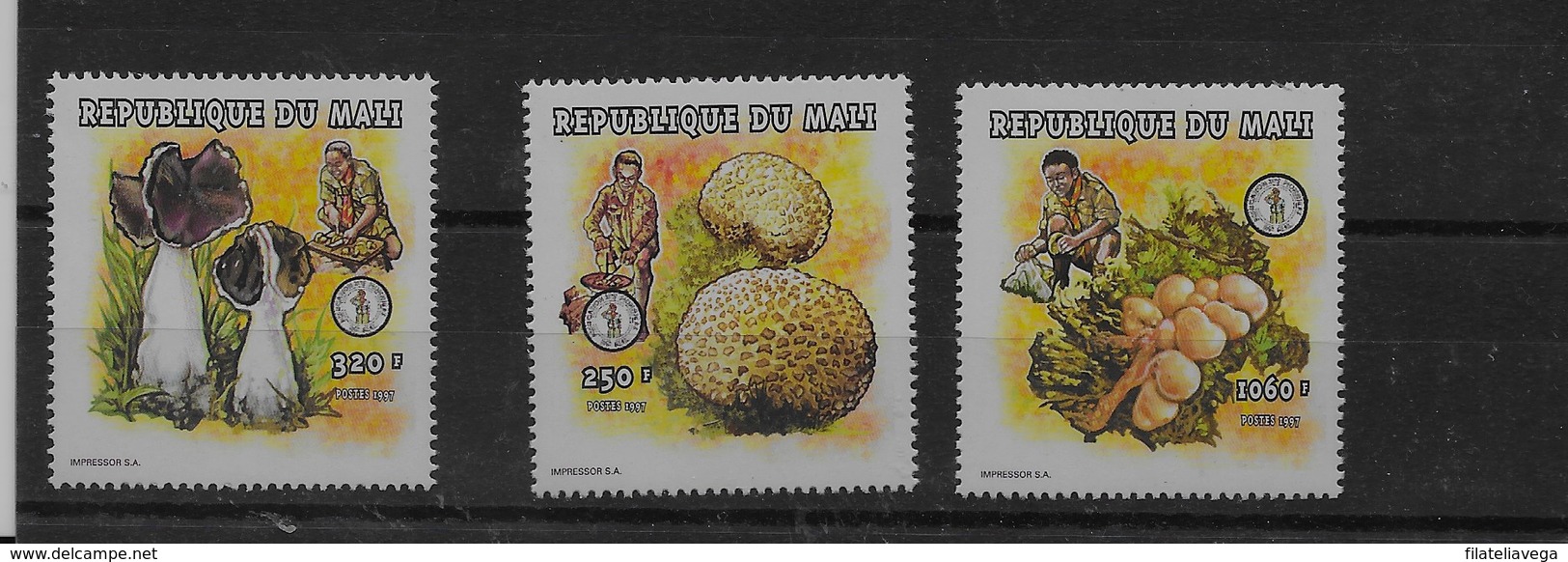 Serie De Mali Nº Yvert 1118/20 ** SETAS (MUSHROOMS) OFERTA (OFFER) - Malí (1959-...)