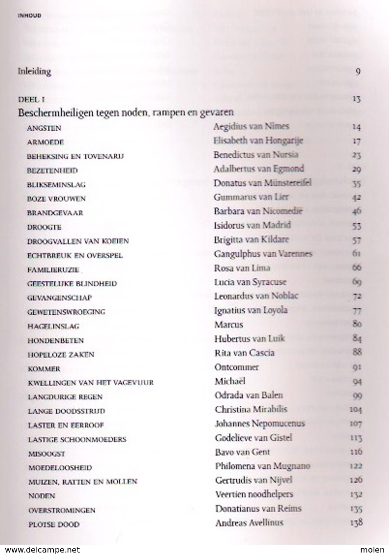 BESCHERMHEILIGEN IN DE LAGE LANDEN 381pp ©2006 Heiligen Heilige Godsdienst Devotie Bidprent Geschiedenis Heemkunde Z701 - Otros & Sin Clasificación