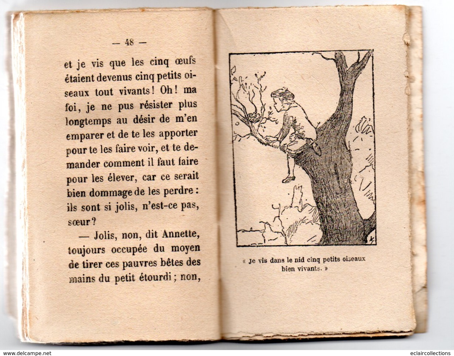 Vieux Papiers. Livre 64 Pages .  7x11,5. Le Nid De Pinson. Elise Voïart  (voir Scan) - Autres & Non Classés