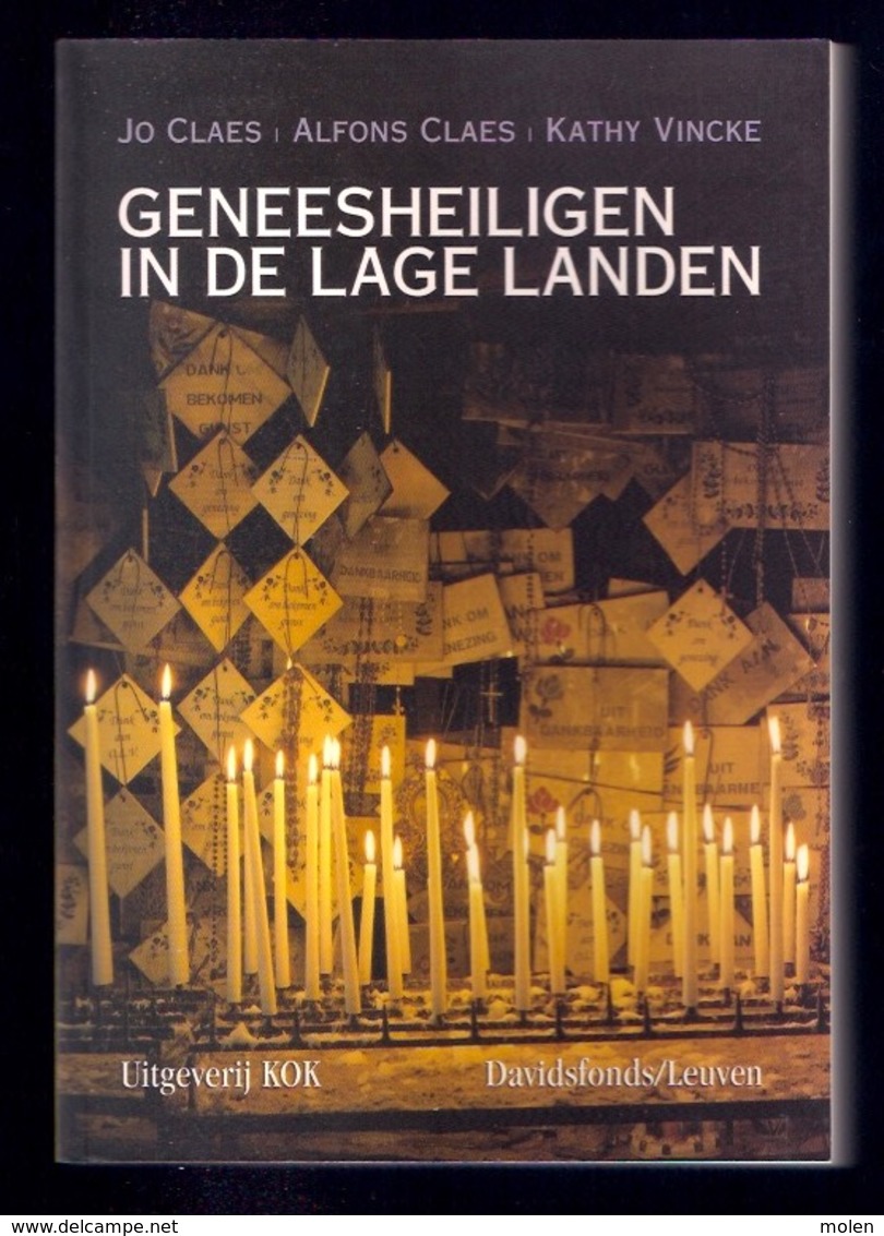 GENEESHEILIGEN IN DE LAGE LANDEN 334pp ©2005 Heiligen Heilige Godsdienst Devotie Bidprent Geschiedenis Heemkunde Z704 - Otros & Sin Clasificación