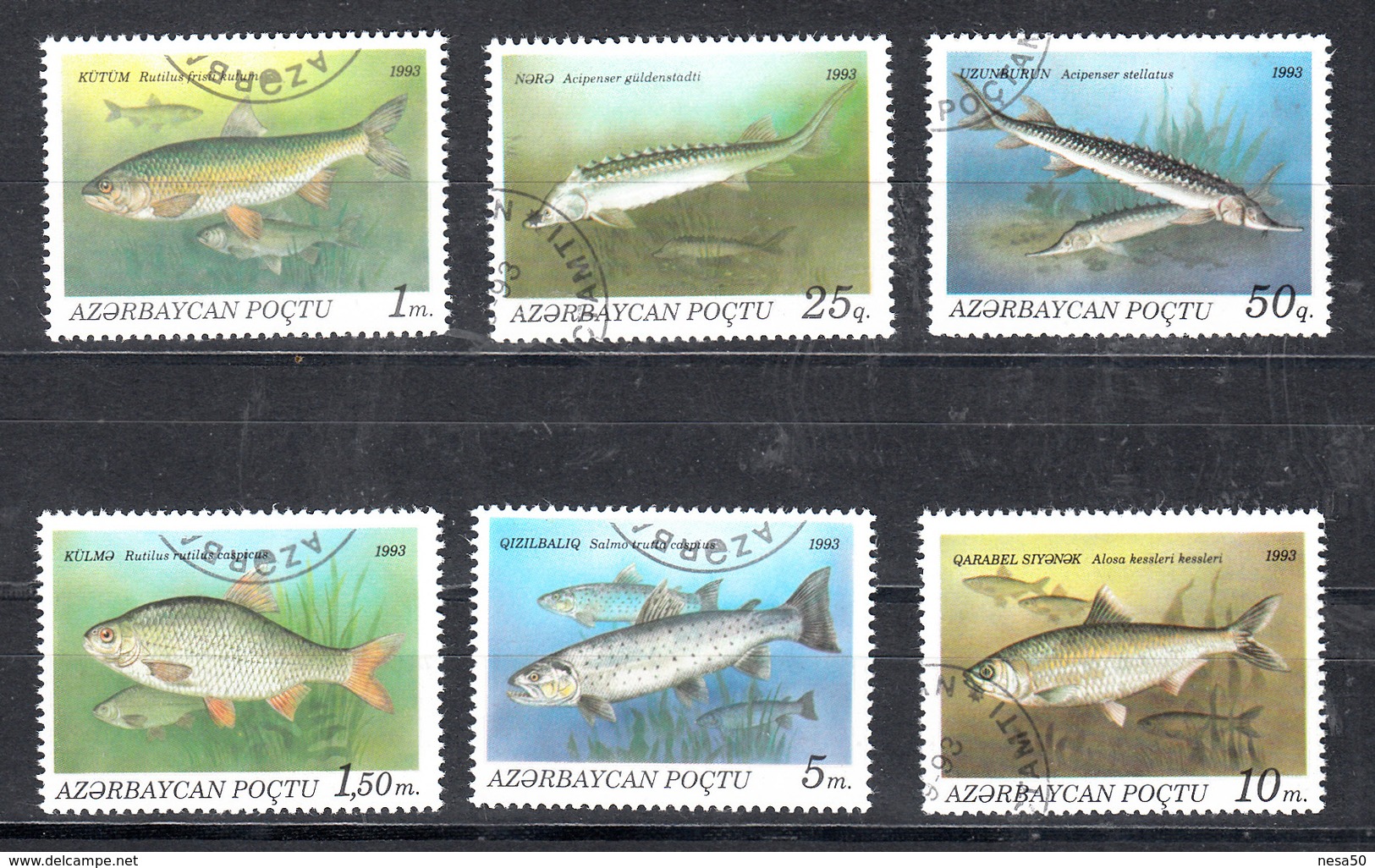 Azerbeidzjan 1993 Mi Nr 98 - 103 , Vissen, Fish - Azerbeidzjan