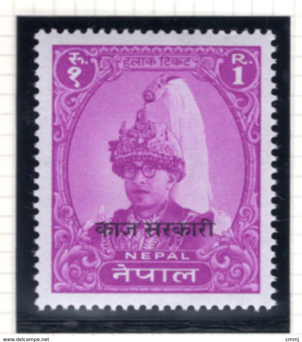 1960 - NEPAL  -  Mi. Nr.  Taxe 12 - NH - (CW4755.43) - Nepal