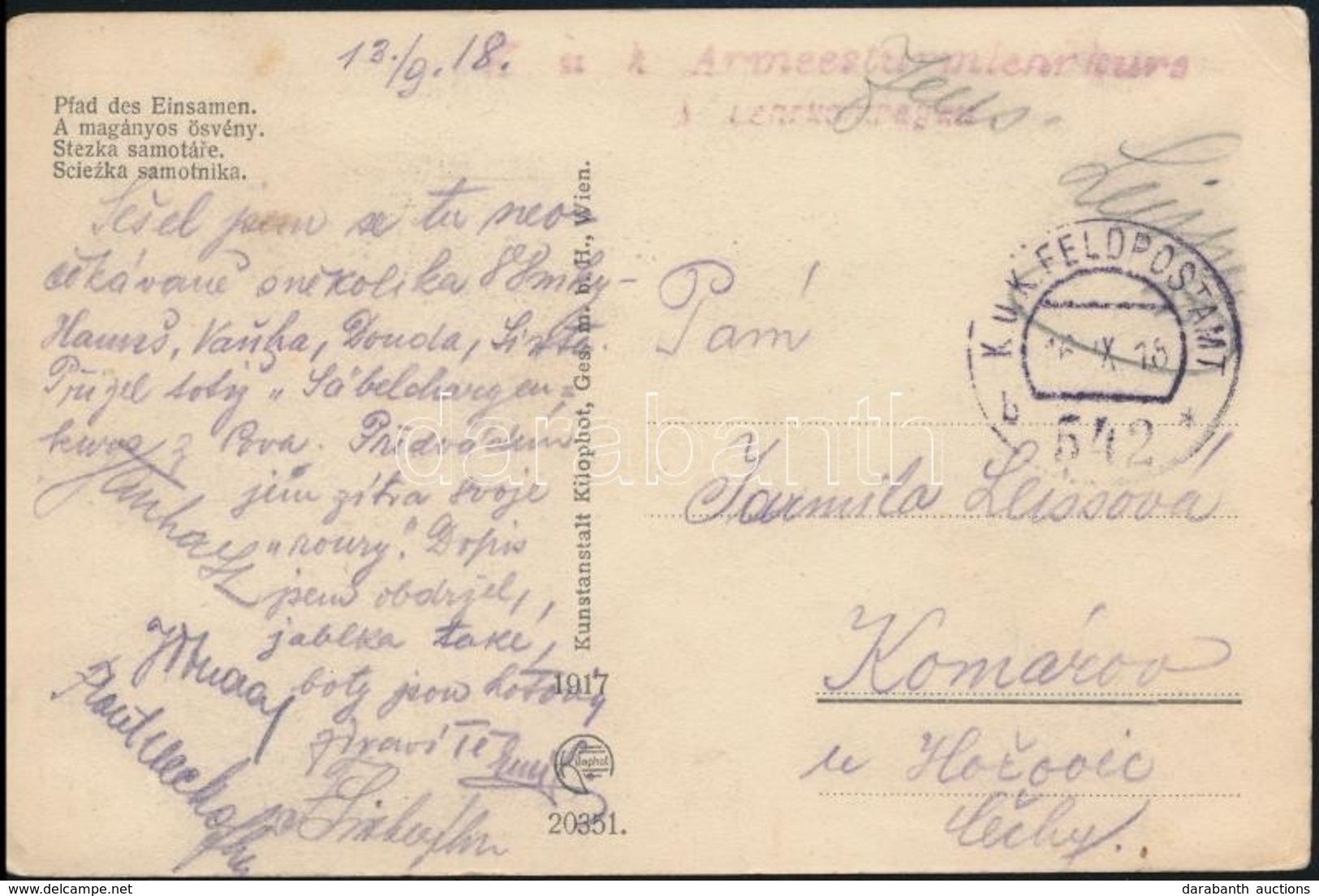 1918 Tábori Posta Képeslap / Field Postcard 'K.u.k. Armeesturm...' + 'FP 542 B' - Autres & Non Classés