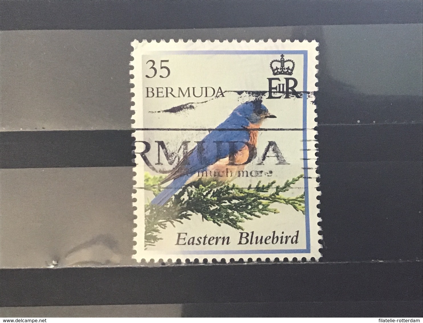 Bermuda - Vogels (35) 2014 - Bahama's (1973-...)