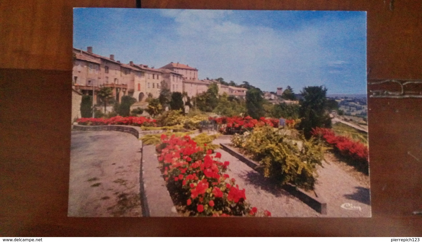 82 - Montpezat De Quercy - Vue De La Route De Caussade - Montpezat De Quercy