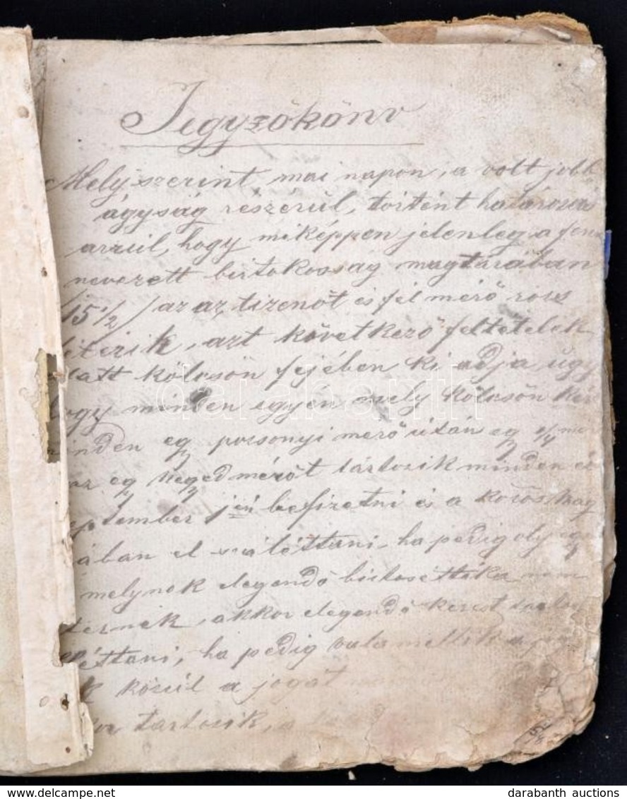 1877 Szalók Jegyzőkönyv A Birtokosság által A Volt Jobbágyoknak Kölcsönbe Adott Gabonáról, és A Visszafizetésekről 58 Ol - Ohne Zuordnung