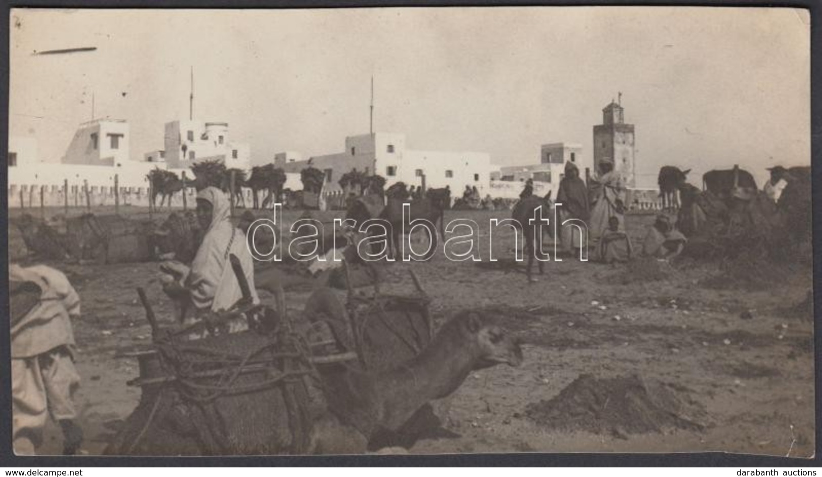 Cca 1900 Egyiptomi Teveparkoló, Jelzetlen Fotó Kankowszky Ervin Hagyatékából, 7,5x13 Cm - Sonstige & Ohne Zuordnung