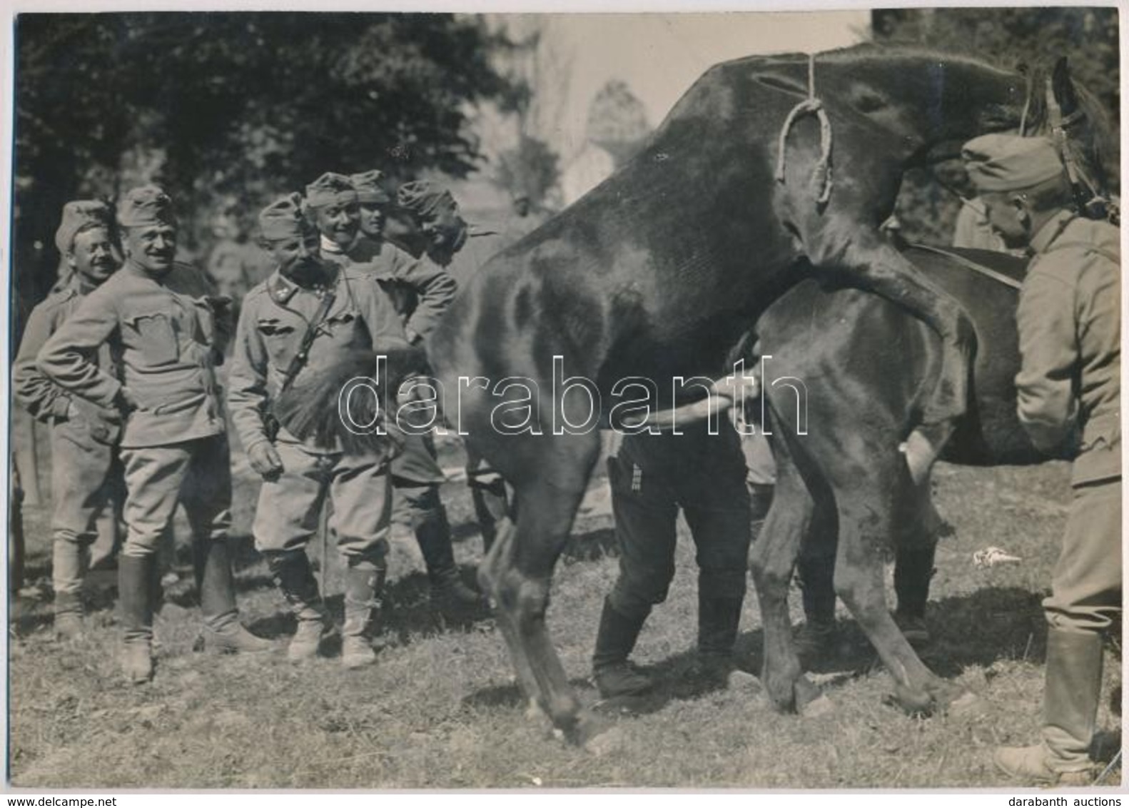 Cca 1918 Katonai Látványosság, Lovak Fedeztetése,  Vintage Fotó, 20,5x29 Cm - Sonstige & Ohne Zuordnung