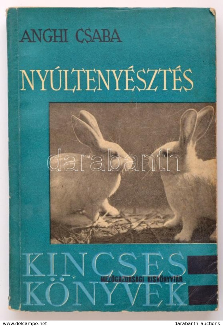 Dr. Anghi Csaba: Nyúltenyésztés. A Prém-, Hús-, Angóra- és Laboratóriumi Kisérleti Nyúl Tenyésztése, Egészségvédelme, ér - Ohne Zuordnung