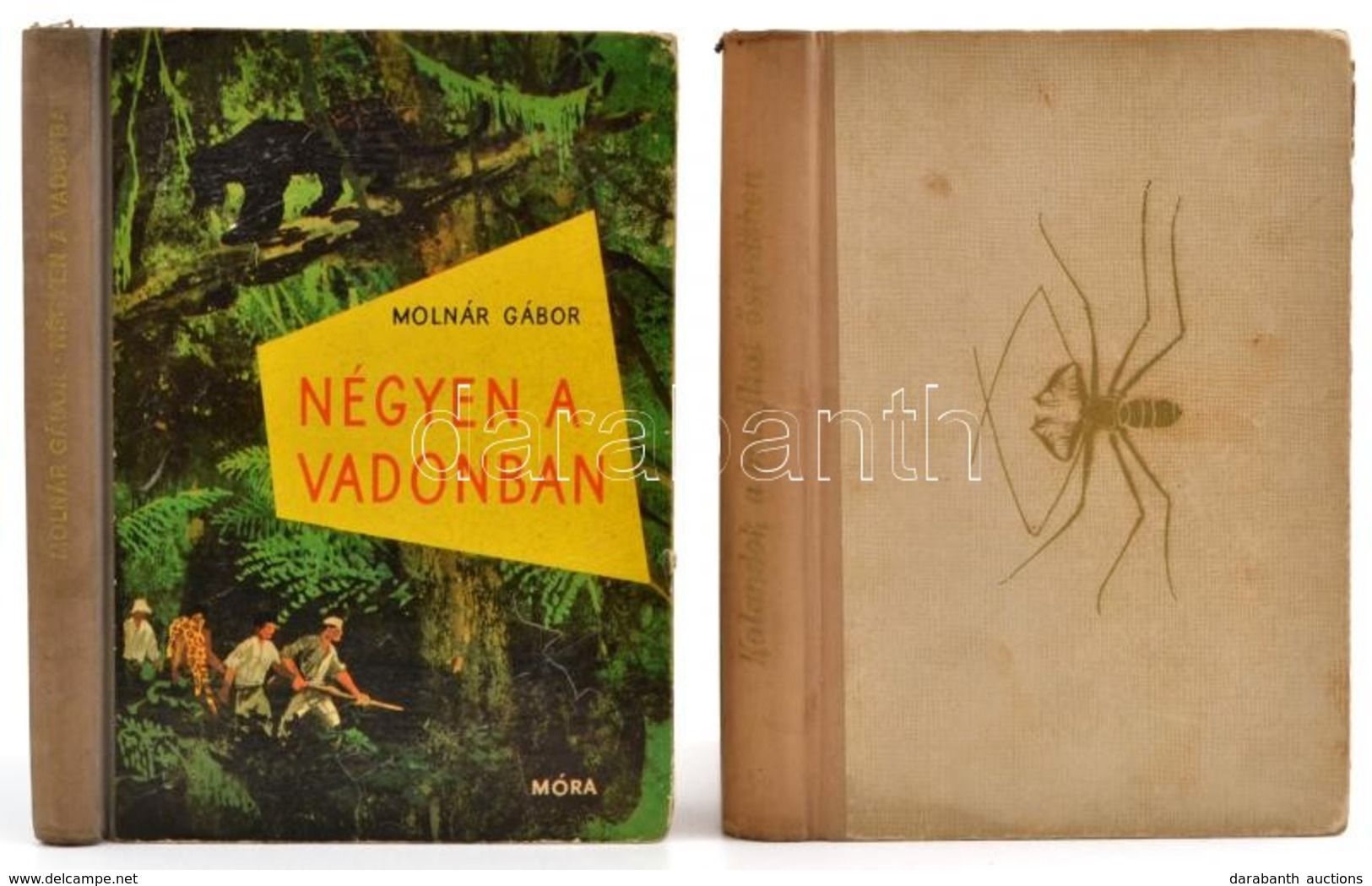 Vegyes Könyvtétel, 2 Db: Molnár Gábor: Kalandok A Brazíziliai őserdőben. Vadász, és Gyűjtőuton Észak-Brazília ősvadonjáb - Ohne Zuordnung