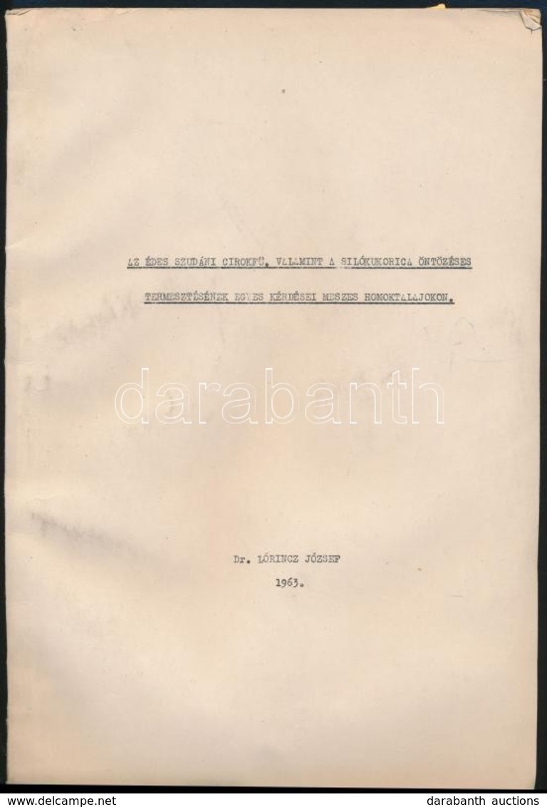 Dr. Lőrincz József: Az édes Szudáni Cirokfű, Valamint A Silókukorica öntözéses Termesztésének Egyes Kérdései Meszes Homo - Ohne Zuordnung