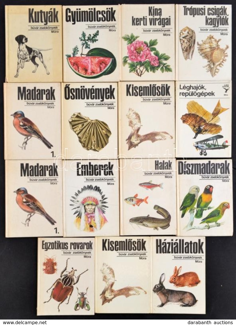 Búvár Zsebkönyvek 14 Kötete, és A Kolibri Könyvek 1 Kötete, összesen 15 Db. Bp.,1972-1989, Móra. Kiadói Kartonált Papírk - Ohne Zuordnung