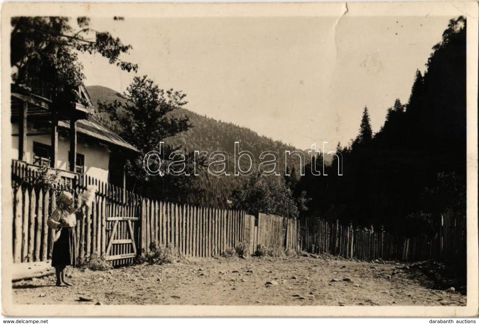 T2/T3 1944 Borsabánya, Baile Borsa; Máramarosi Kárpátok / Muntii Maramuresului / Mountain Range (apró Szakadás / Tiny Te - Ohne Zuordnung
